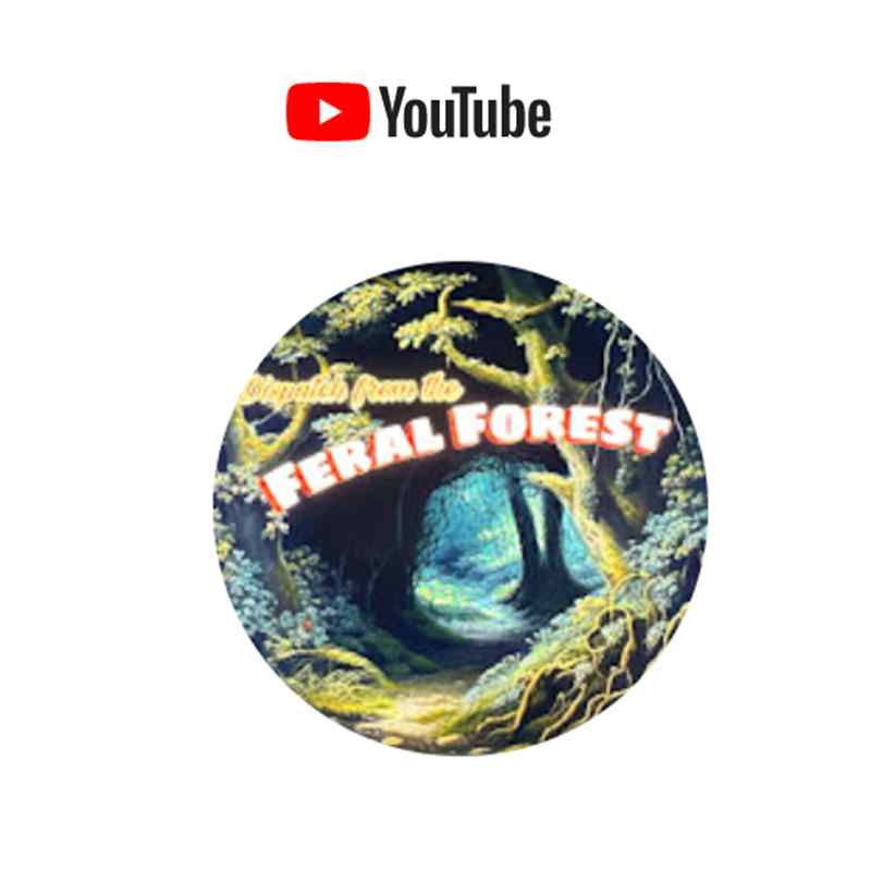 Feral Forest Podcast on Youtube