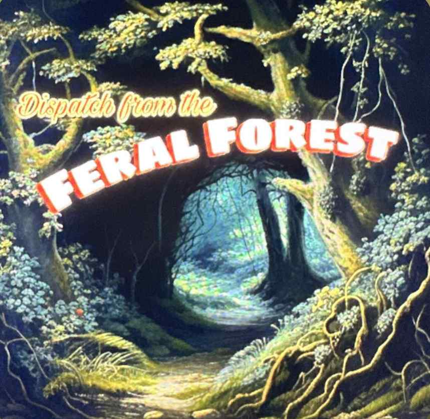 Feral Forest Podcast by Gillian Chadwick and Courtney Brooke